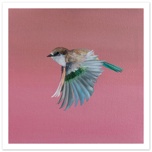 a97ca62c-ab33-47d0-a6b5-8c543df22b7f